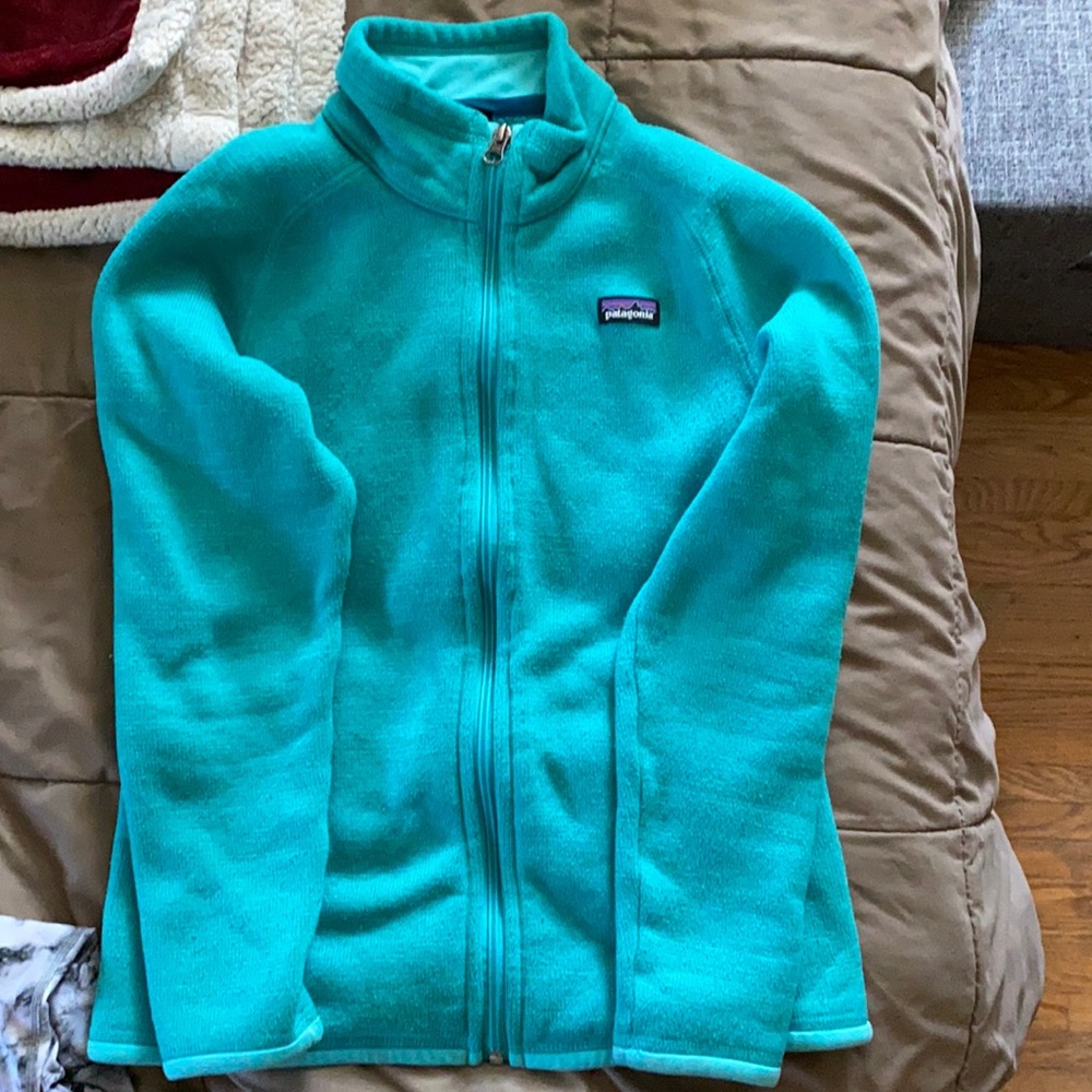Patagonia fleece jacket
